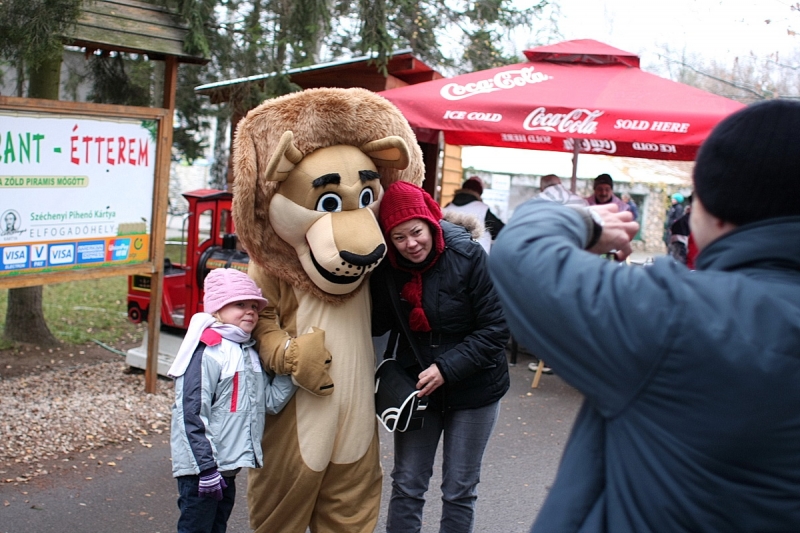 100 Ft-os nap az állatparkban