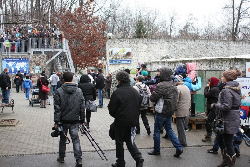 100 Ft-os nap az állatparkban
