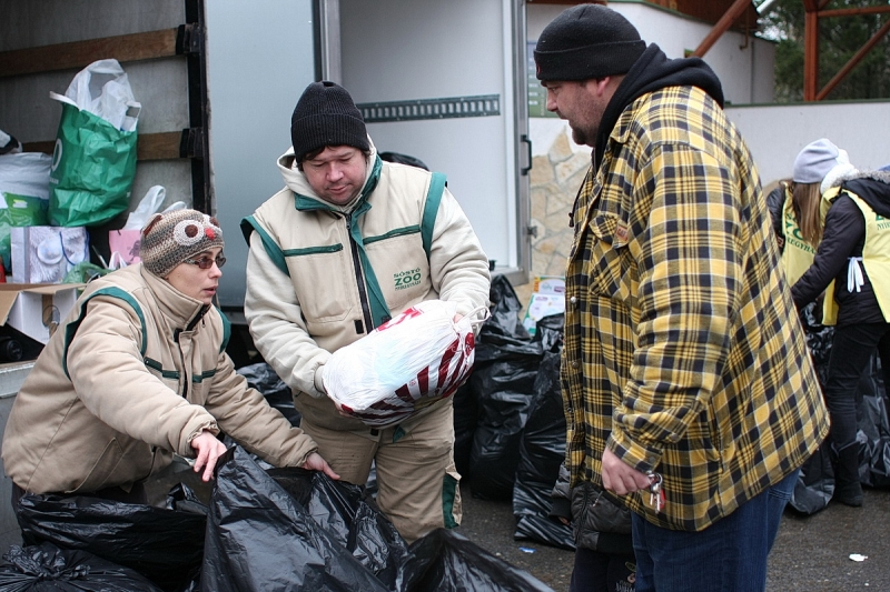 100 Ft-os nap az állatparkban