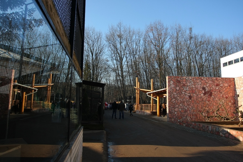 Átadták a Viktória házat