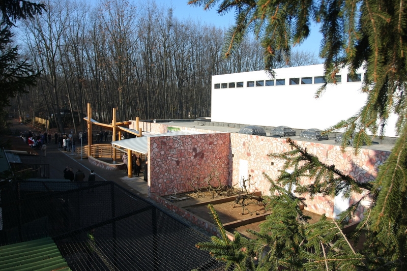 Átadták a Viktória házat