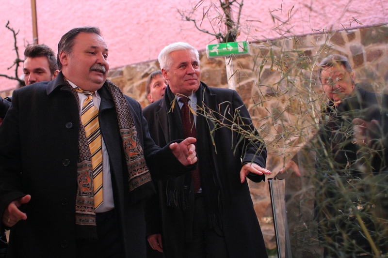 Átadták a Viktória házat