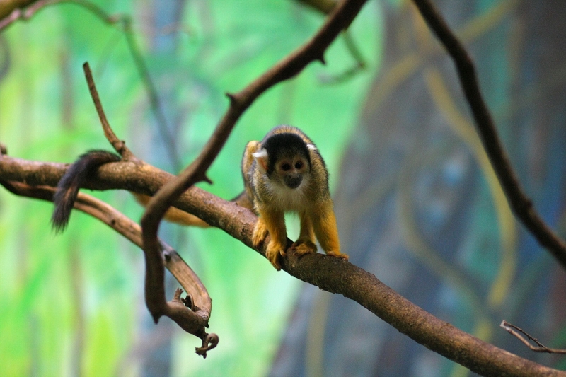 Átadták a Viktória házat