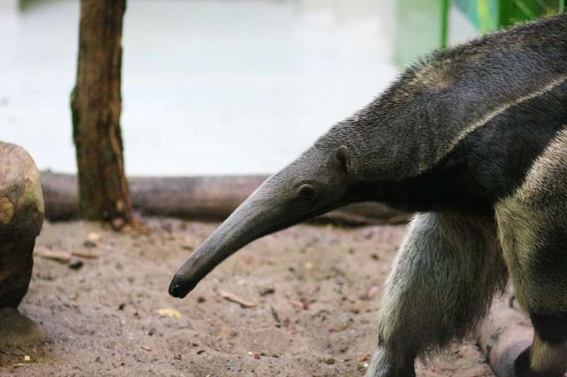 Átadták a Viktória házat