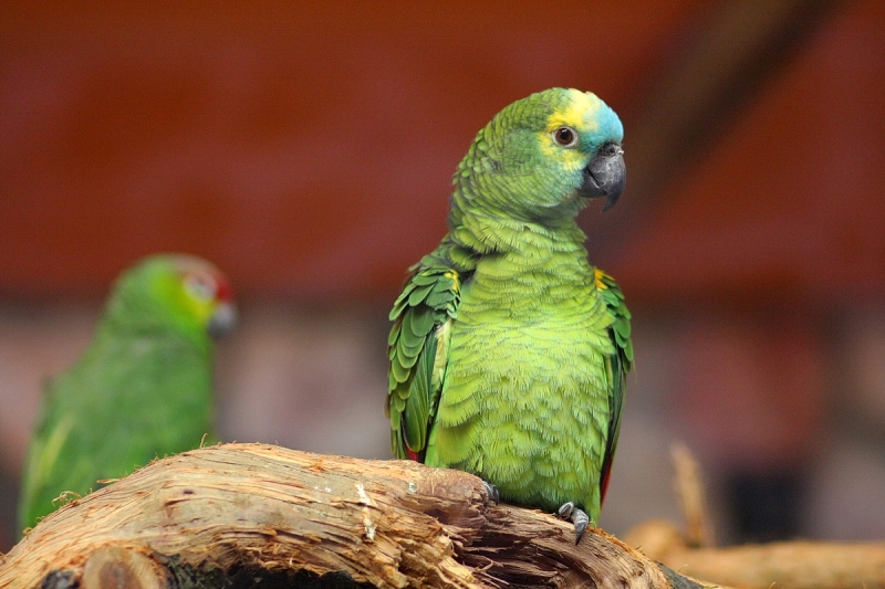 Átadták a Viktória házat