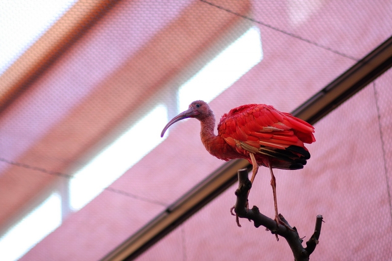 Átadták a Viktória házat