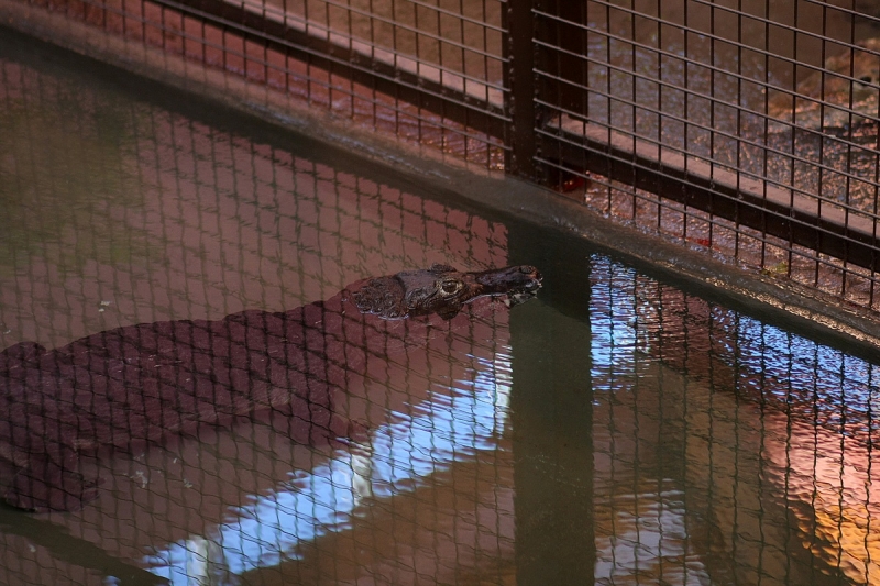 Átadták a Viktória házat