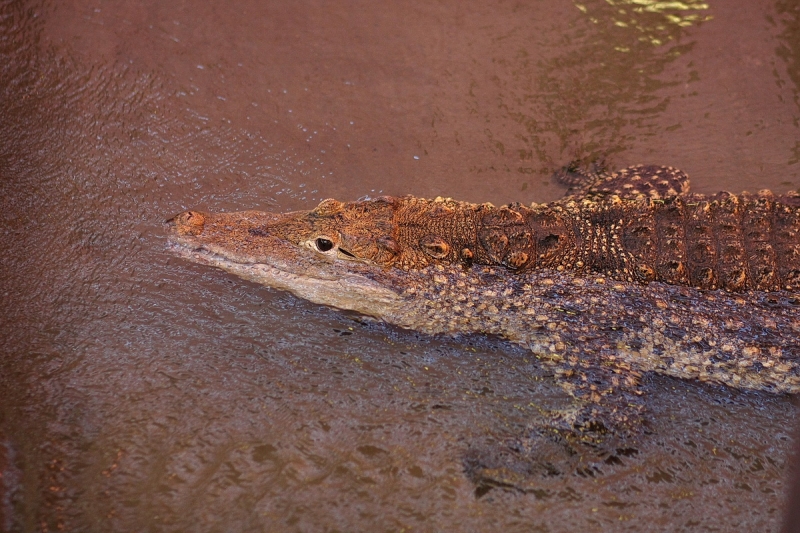Átadták a Viktória házat
