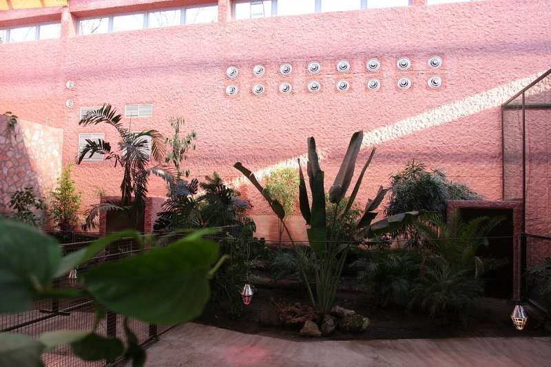 Átadták a Viktória házat