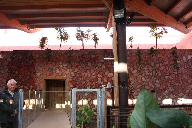 Átadták a Viktória házat