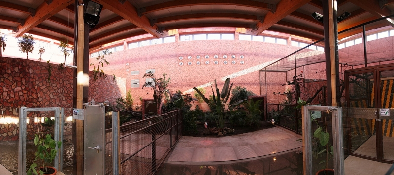 Átadták a Viktória házat