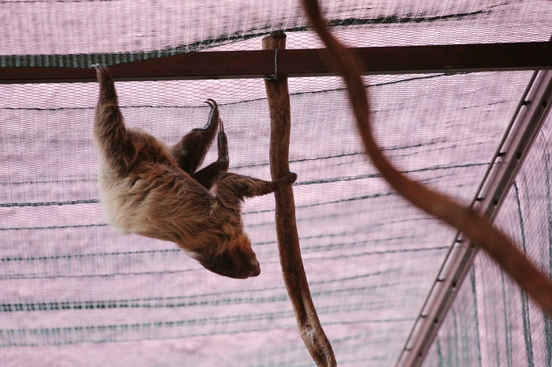 Átadták a Viktória házat
