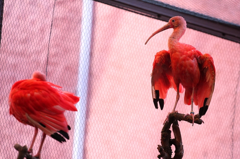 Átadták a Viktória házat