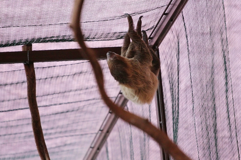 Átadták a Viktória házat