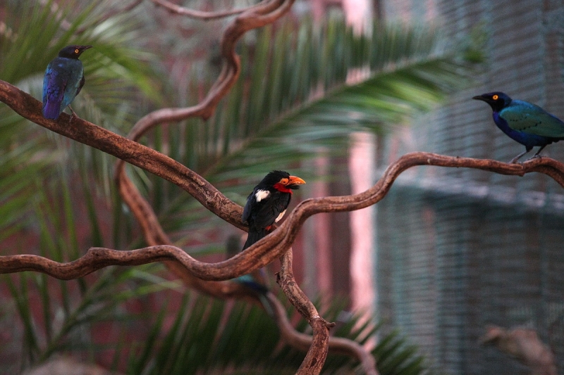 Átadták a Viktória házat