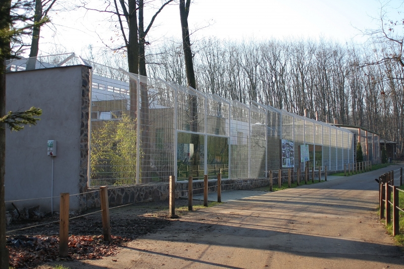 Átadták a Viktória házat