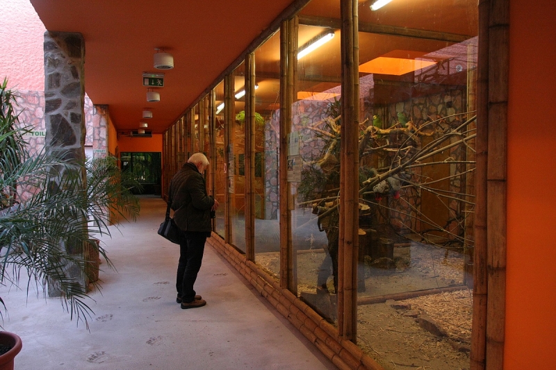 Átadták a Viktória házat