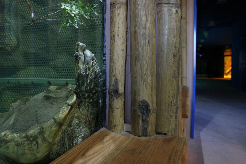 Átadták a Viktória házat