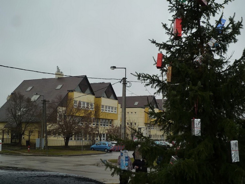 Mindenki karácsonyfája Borbányán