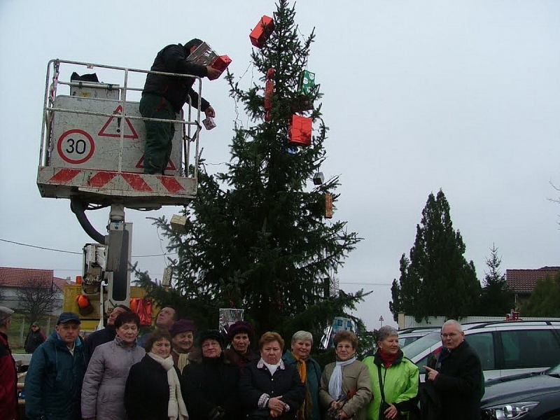Mindenki karácsonyfája Borbányán
