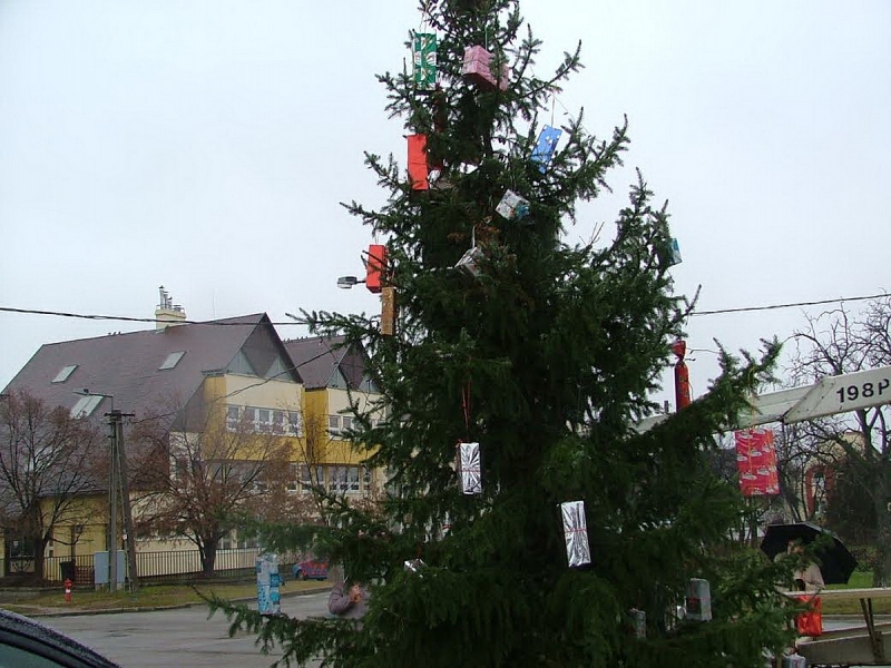 Mindenki karácsonyfája Borbányán