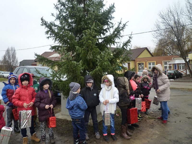 Mindenki karácsonyfája Borbányán