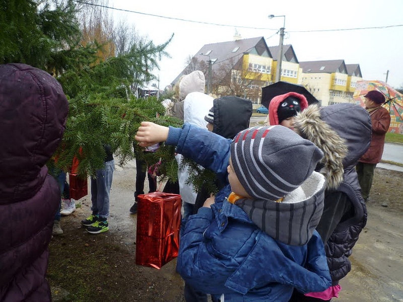 Mindenki karácsonyfája Borbányán