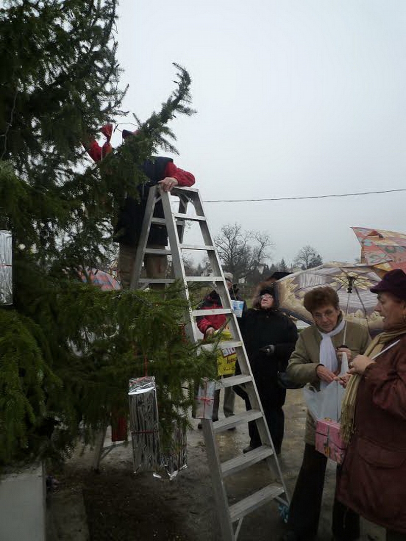 Mindenki karácsonyfája Borbányán