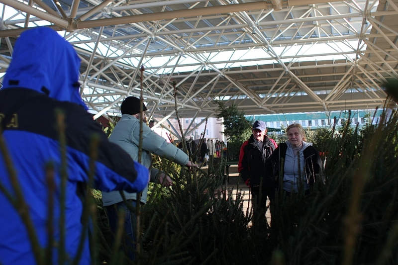 Használatba vették az új piacot