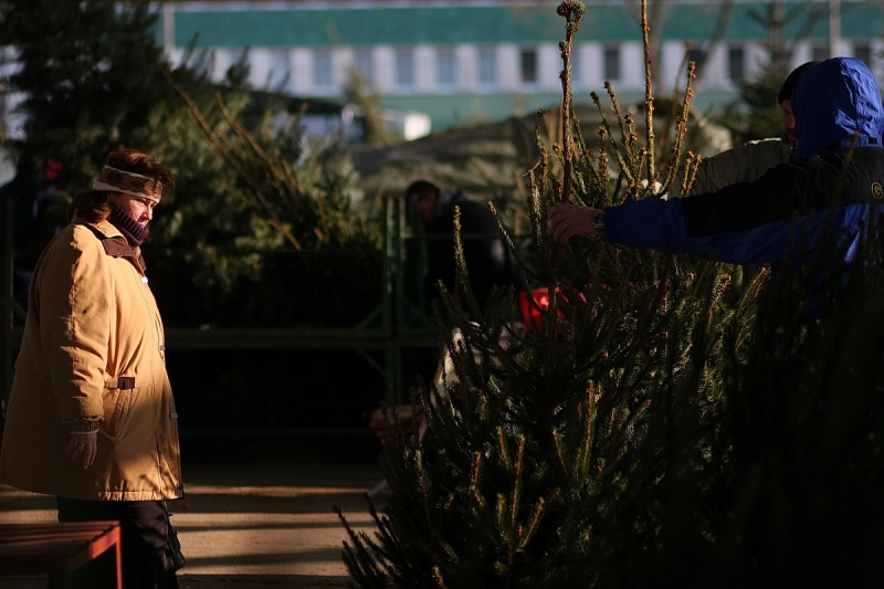 Használatba vették az új piacot