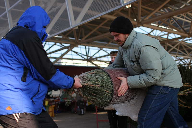 Használatba vették az új piacot