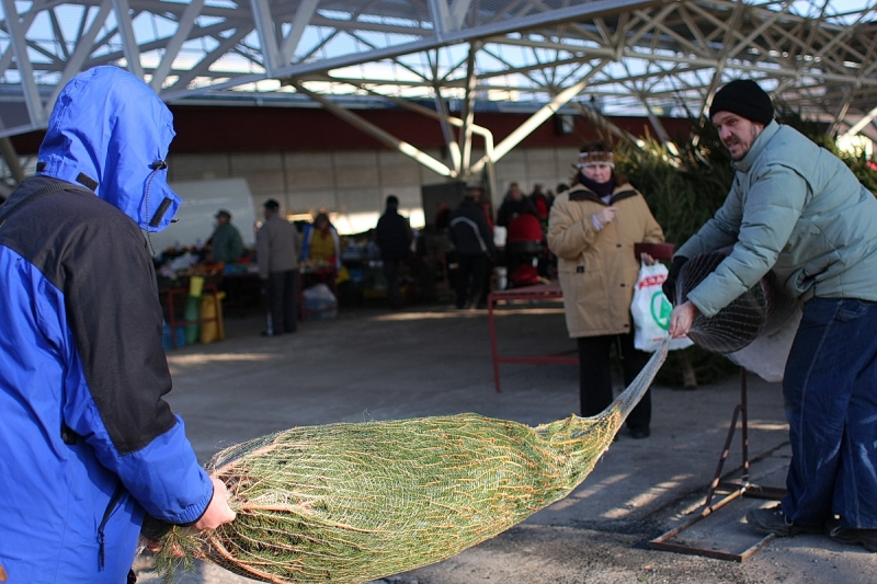 Használatba vették az új piacot