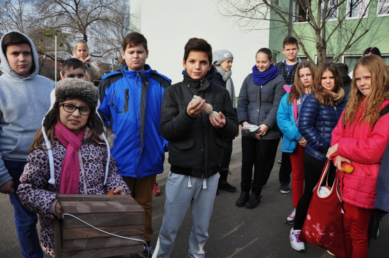 Madáretető a Bem József Általános Iskolának