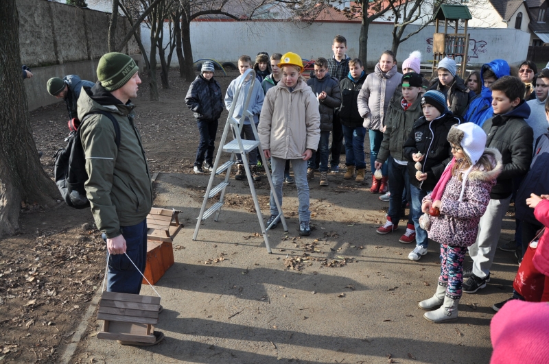 Madáretető a Bem József Általános Iskolának