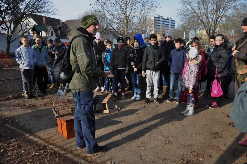 Madáretető a Bem József Általános Iskolának