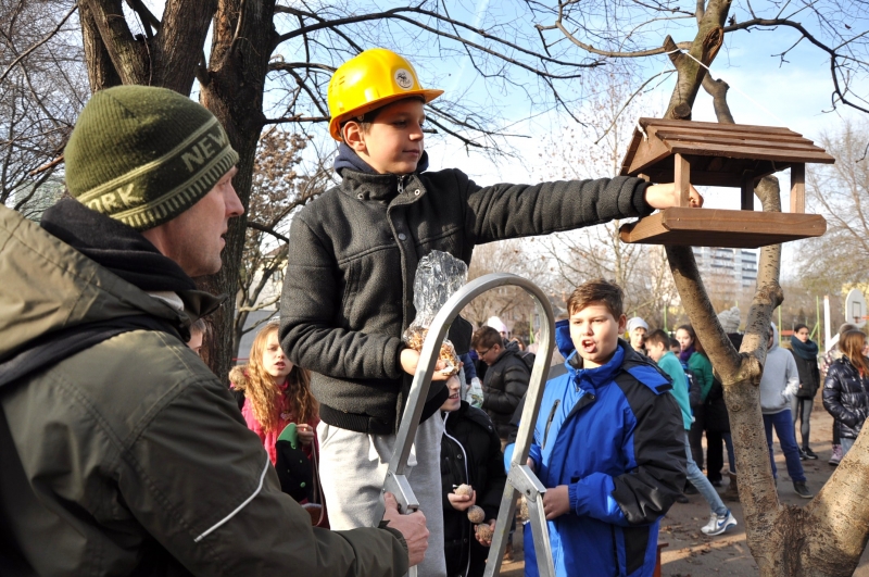 Madáretető a Bem József Általános Iskolának