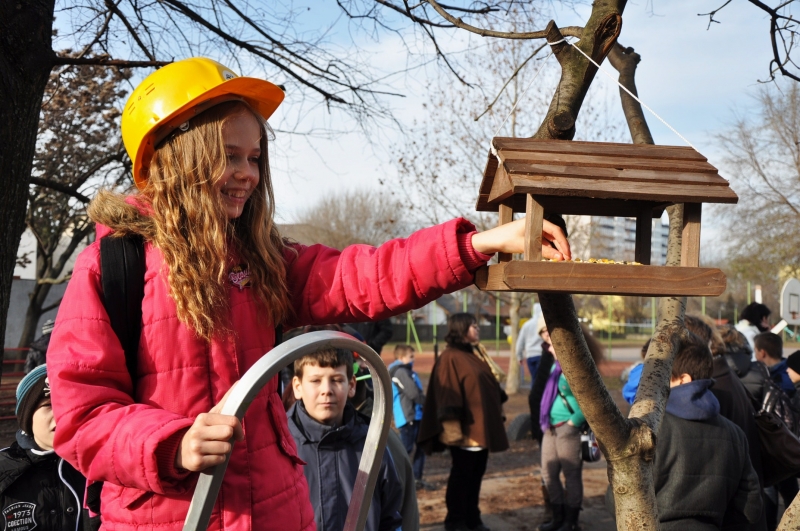 Madáretető a Bem József Általános Iskolának