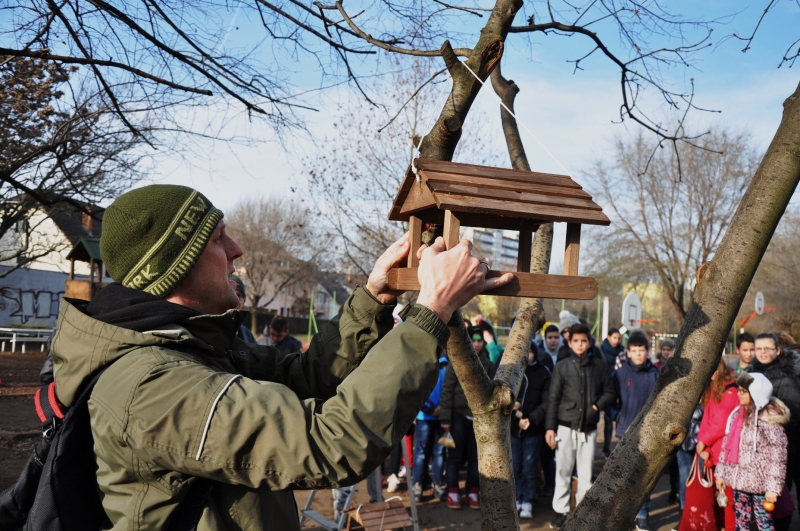 Madáretető a Bem József Általános Iskolának