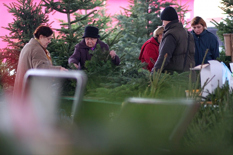 Megtelt élettel a fedett piac