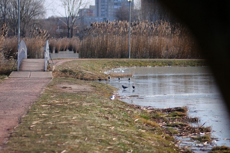 Kemény faggyal köszönt be a tél