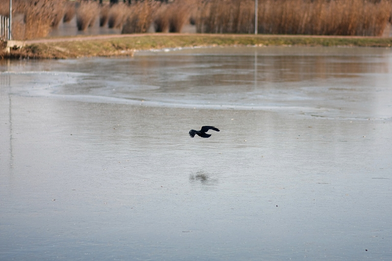 Kemény faggyal köszönt be a tél