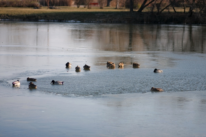 Kemény faggyal köszönt be a tél