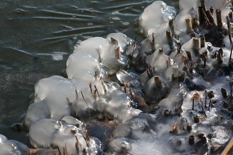 Kemény faggyal köszönt be a tél