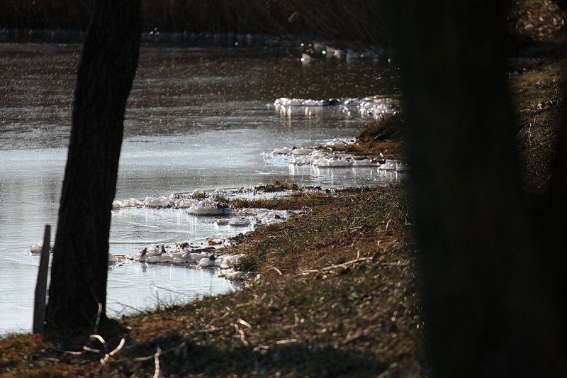 Kemény faggyal köszönt be a tél