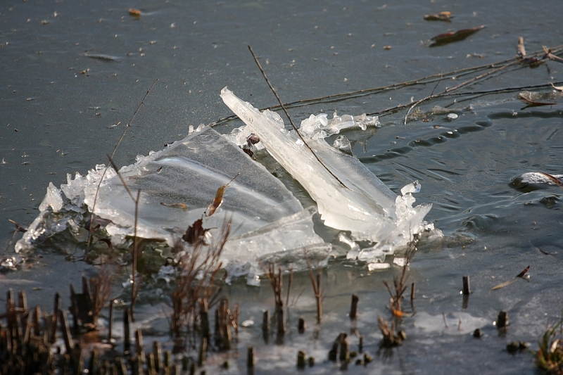 Kemény faggyal köszönt be a tél