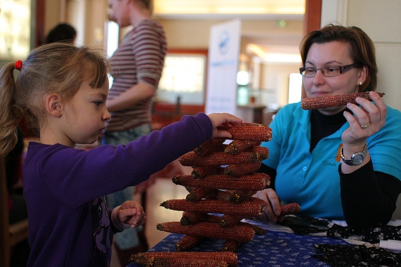 Vízkereszti gyerekjárás