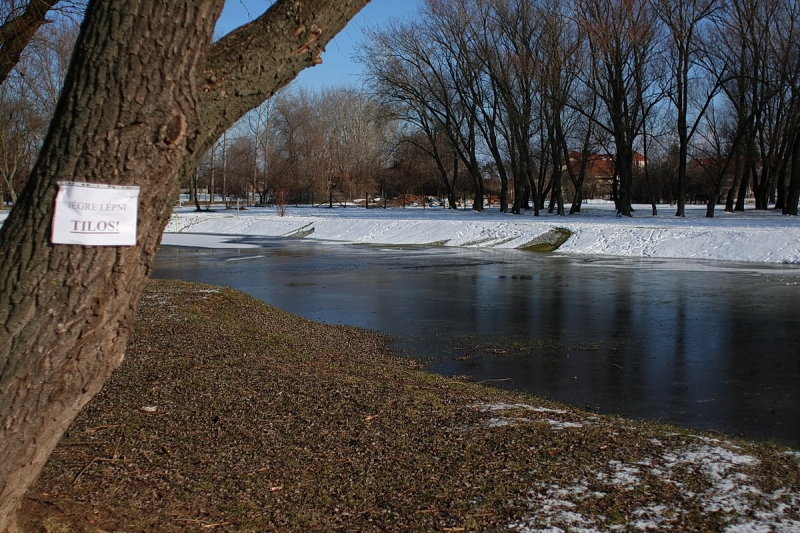 Jégpálya új helyen a Bujtoson