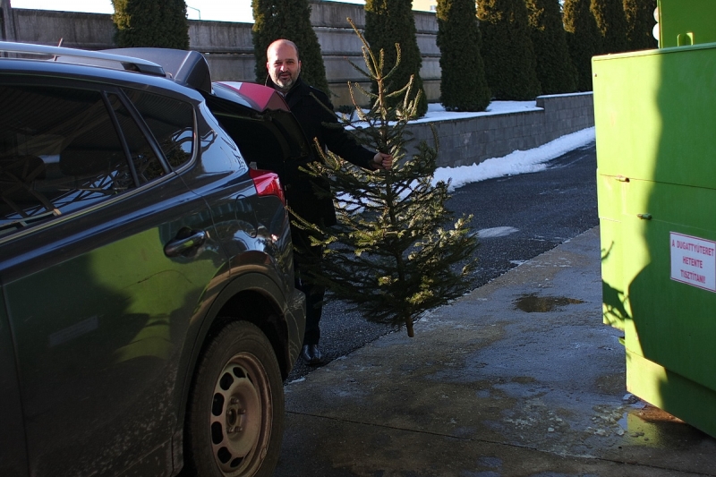 Karácsonyfagyűjtő akció