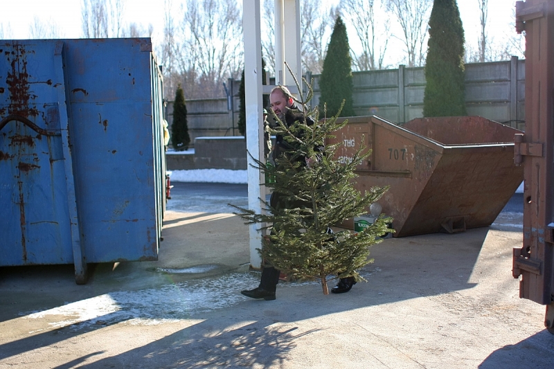 Karácsonyfagyűjtő akció