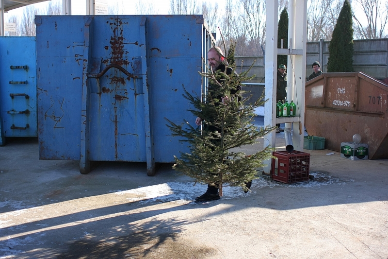 Karácsonyfagyűjtő akció